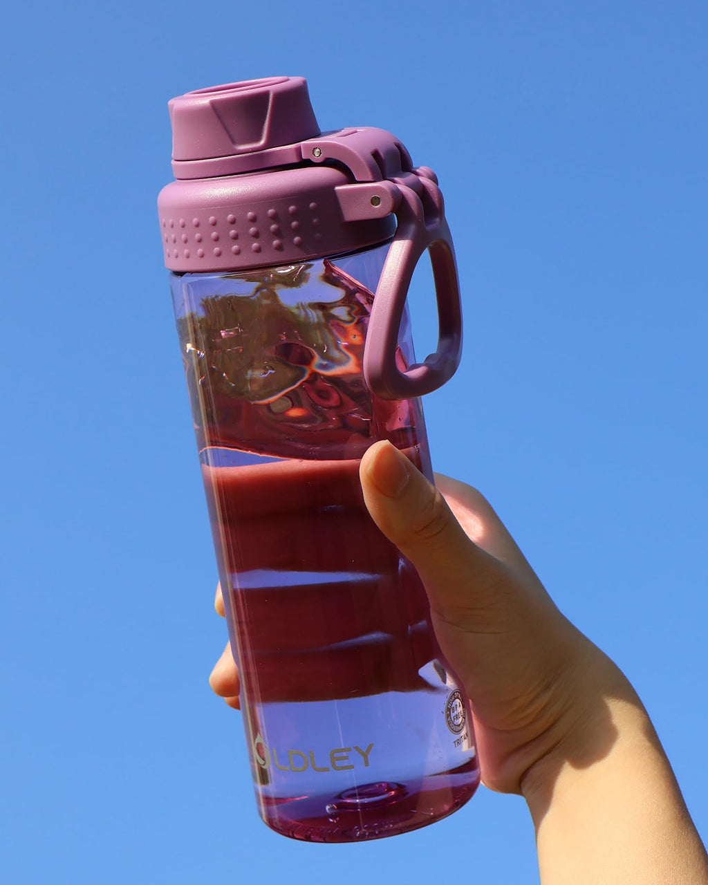 OLDLEY 600ml/20oz Water Bottle BPA Free Tritan Clear Water Bottle with Screw Lid & Carry Loop Reusable Leakproof Drinking Bottle for Sports, Gym, School, Outdoor (Black)