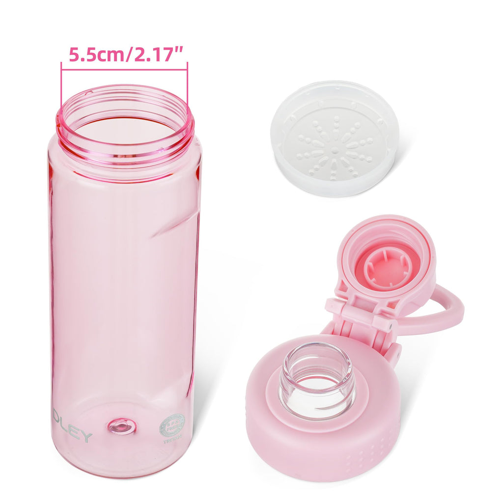 OLDLEY 600ml/20oz Water Bottle BPA Free Tritan Clear Water Bottle with Screw Lid & Carry Loop Reusable Leakproof Drinking Bottle for Sports, Gym, School, Outdoor (Black)