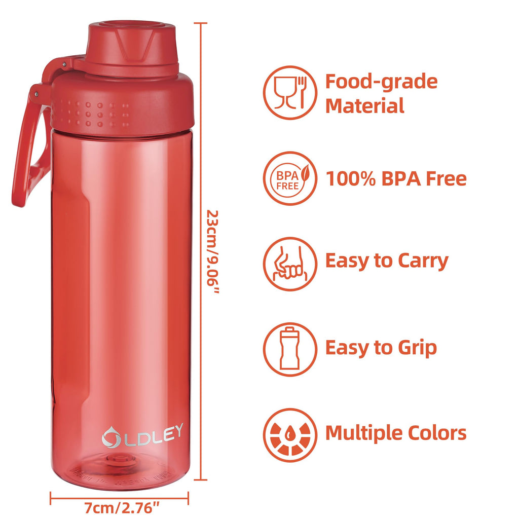 OLDLEY 600ml/20oz Water Bottle BPA Free Tritan Clear Water Bottle with Screw Lid & Carry Loop Reusable Leakproof Drinking Bottle for Sports, Gym, School, Outdoor (Black)