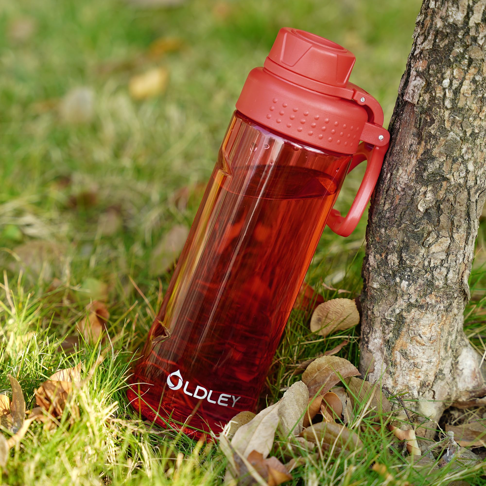 OLDLEY 600ml/20oz Water Bottle BPA Free Tritan Clear Water Bottle with Screw Lid & Carry Loop Reusable Leakproof Drinking Bottle for Sports, Gym, School, Outdoor (Black)
